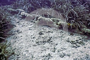 Old anchor chain on the bottom of Sea